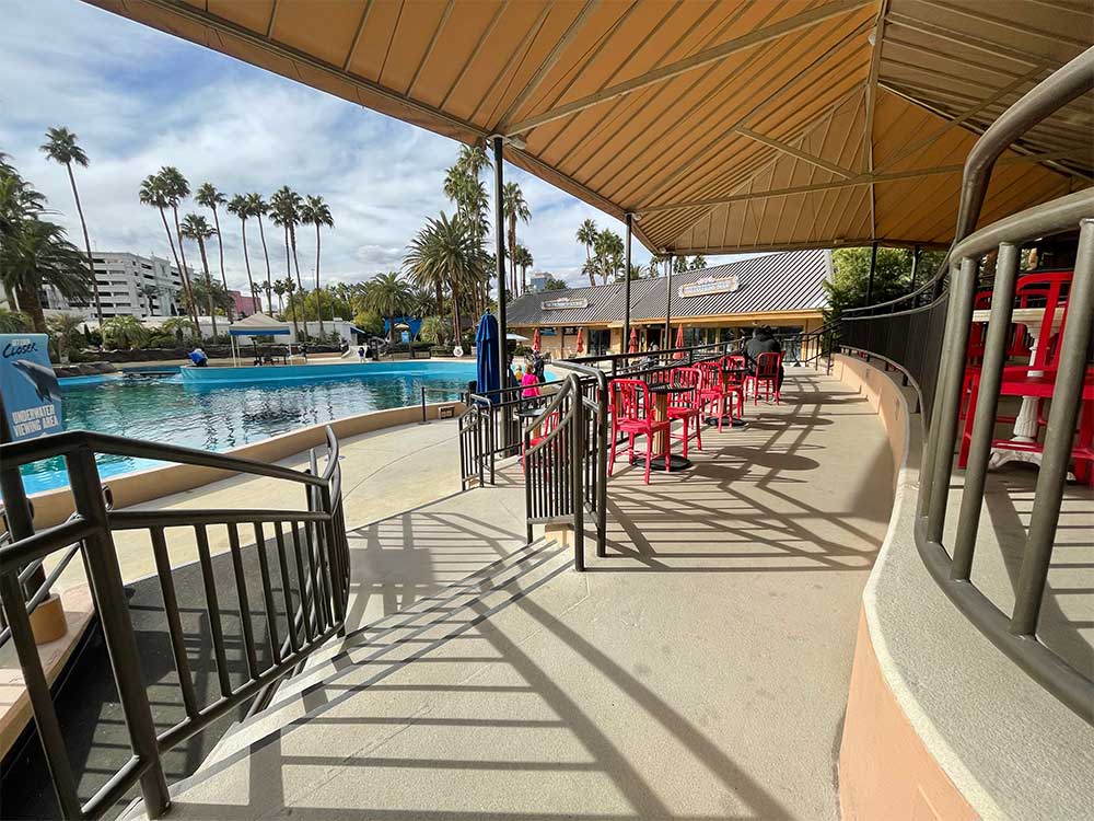 Wheelchair accessible shaded seating area near dolphin tank.