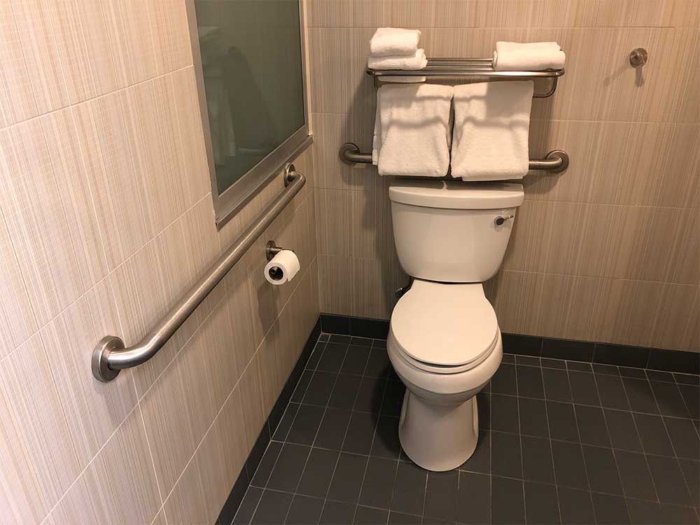 Toilet with grab bars.