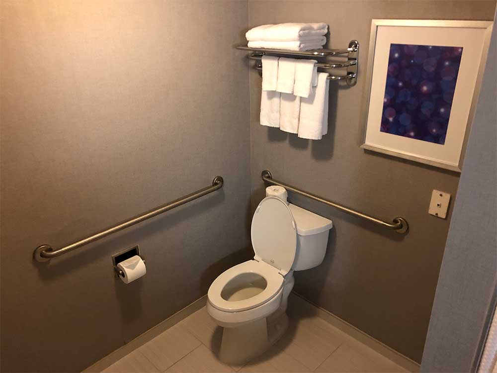 Toilet with grab bars.