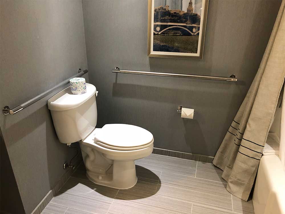 Toilet with grab bars.