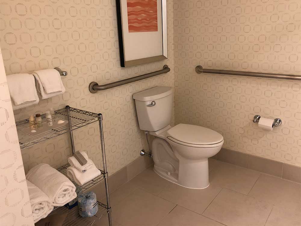 Toilet with grab bars.