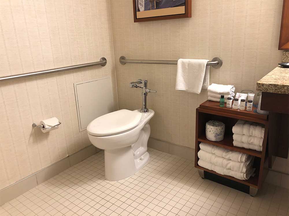 Toilet with grab bars.