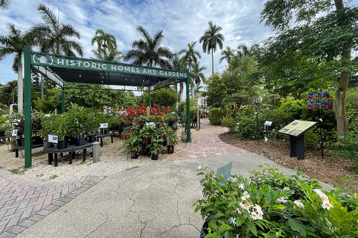 Paved pathway through outdoor flower shop.