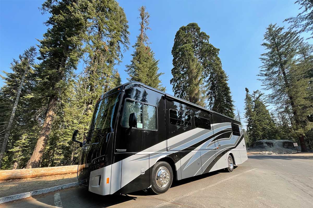 RV parked in front of towering trees.