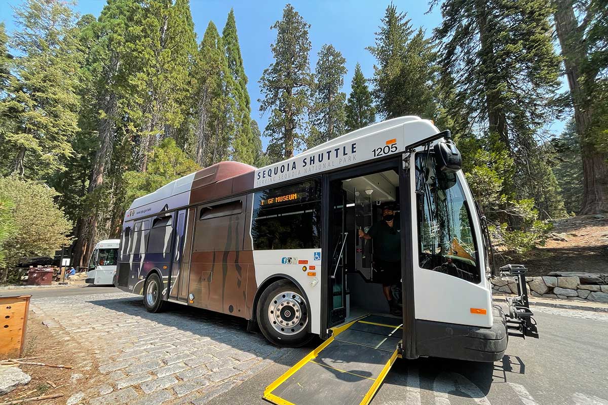 Shuttle bus with wheelchair ramp extended directly in front of Giant Sequoia grove.