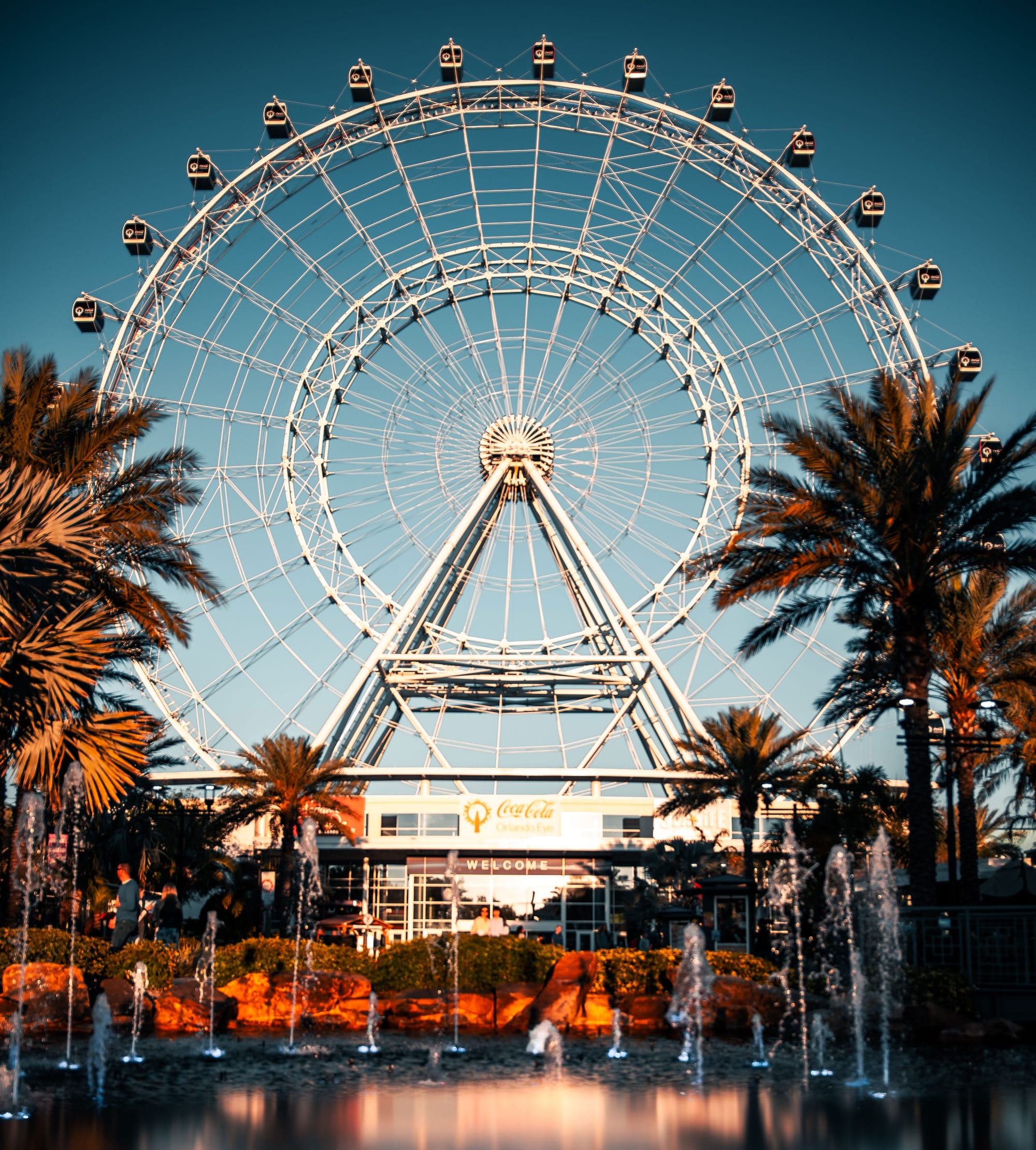 Orlando Wheel at Icon Park.