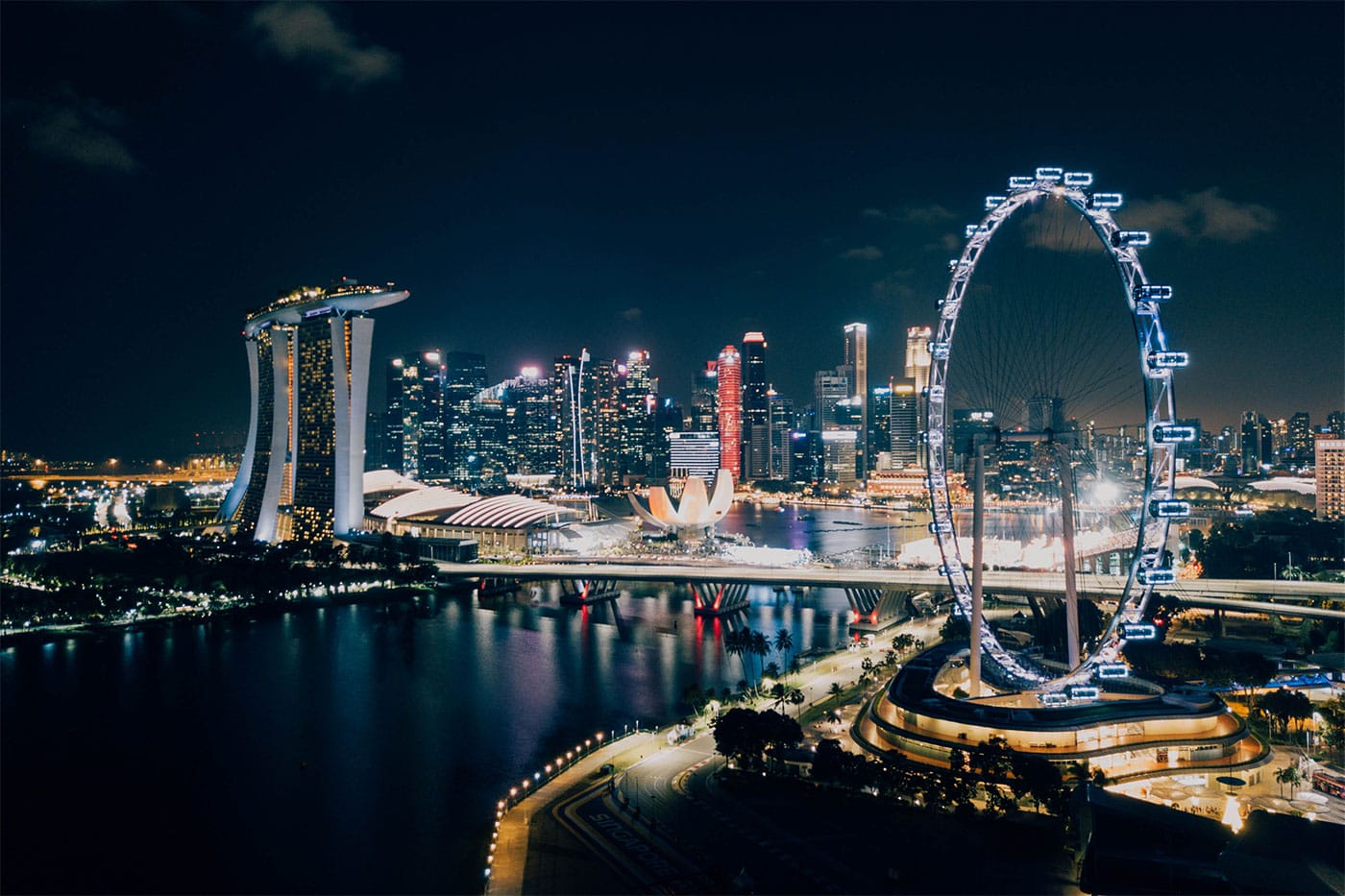 Singapore Flyer against city skyline at night.