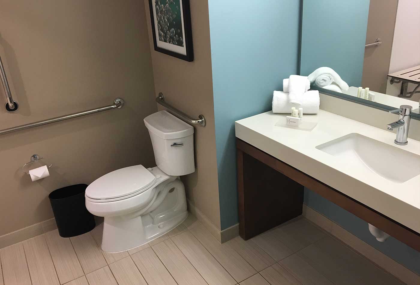 Toilet with grab bars and roll under sink.