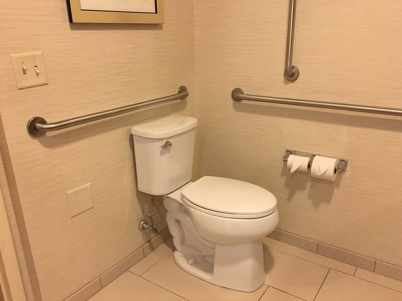 Toilet with grab bars.