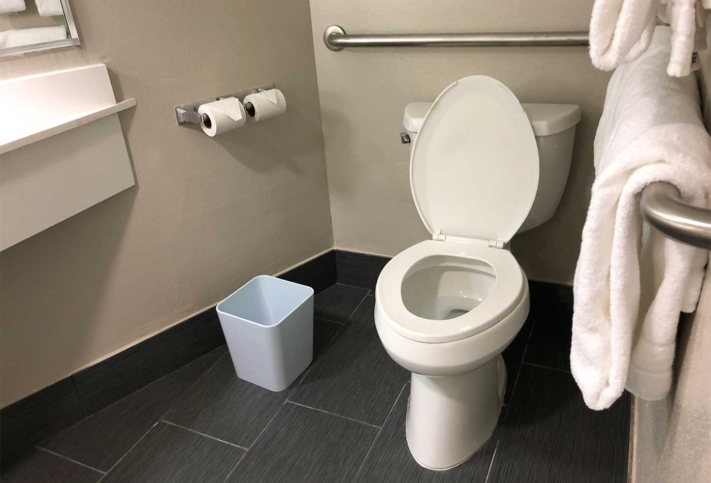 Toilet with grab bars.