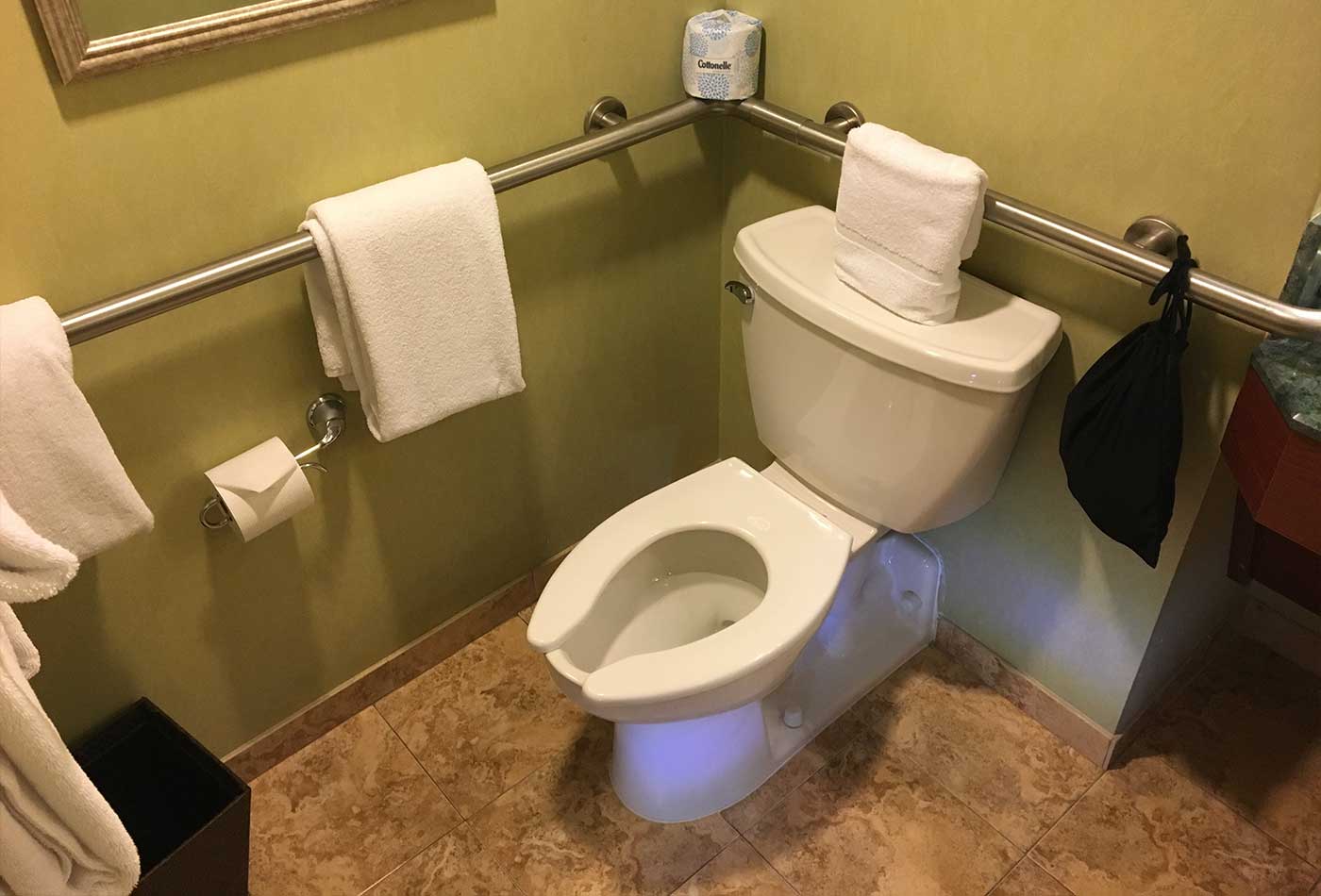 Toilet with grab bars.