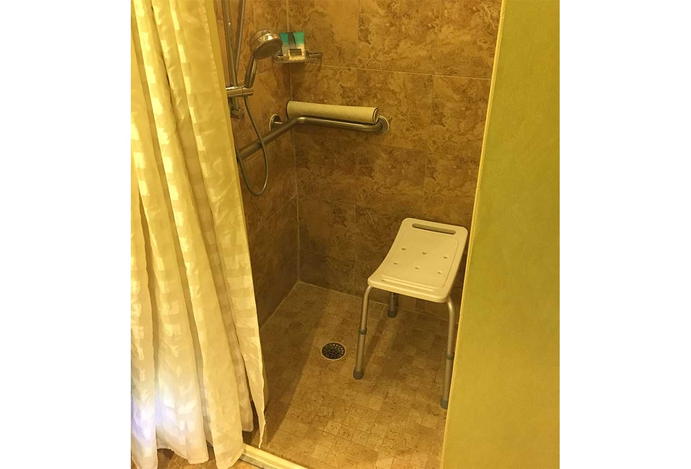 Transfer shower with portable bench.