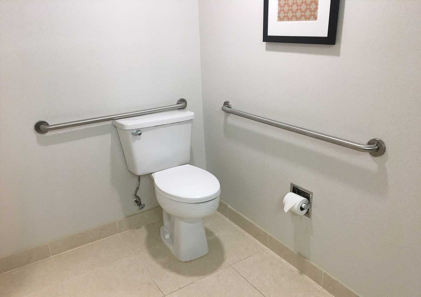 Toilet with grab bars.