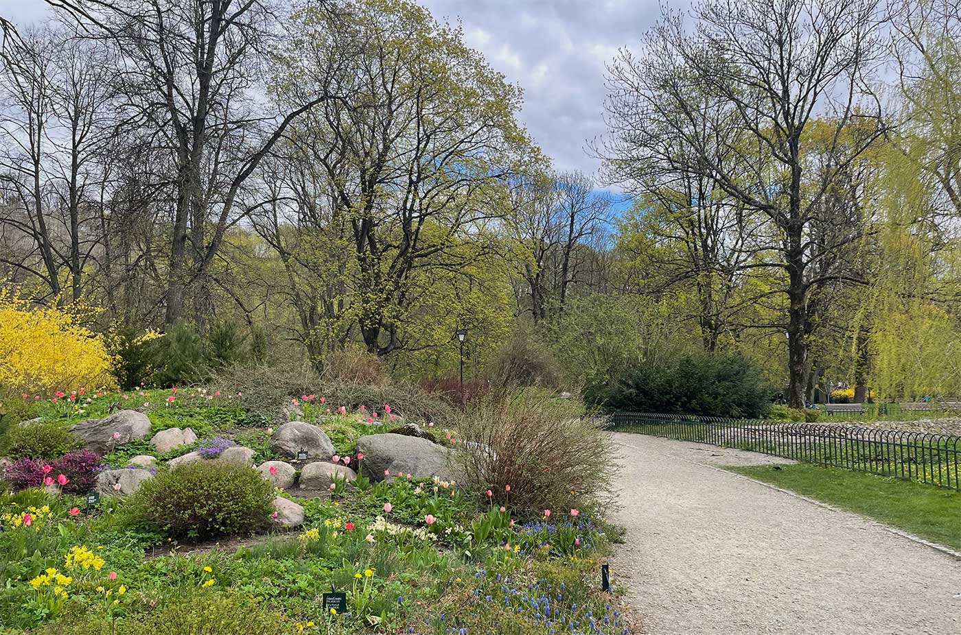 Patch of flowers alongside a dirt and gravel path in a large public park.