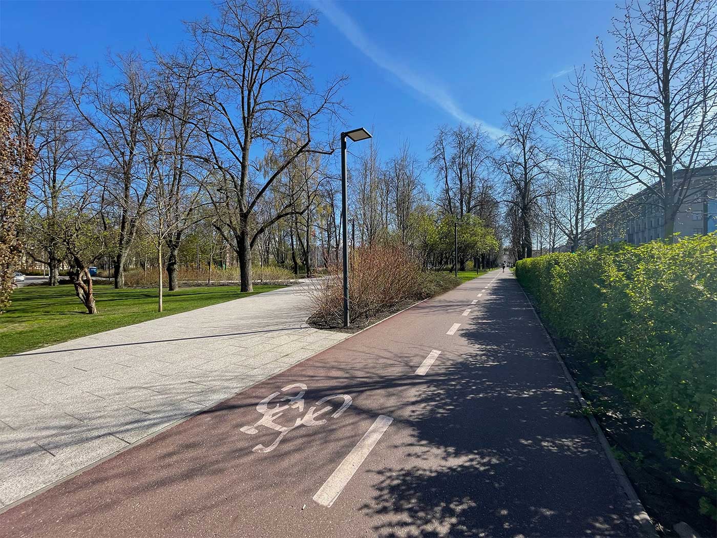 Bicycle lane alongside public park and green space in Vilnius.