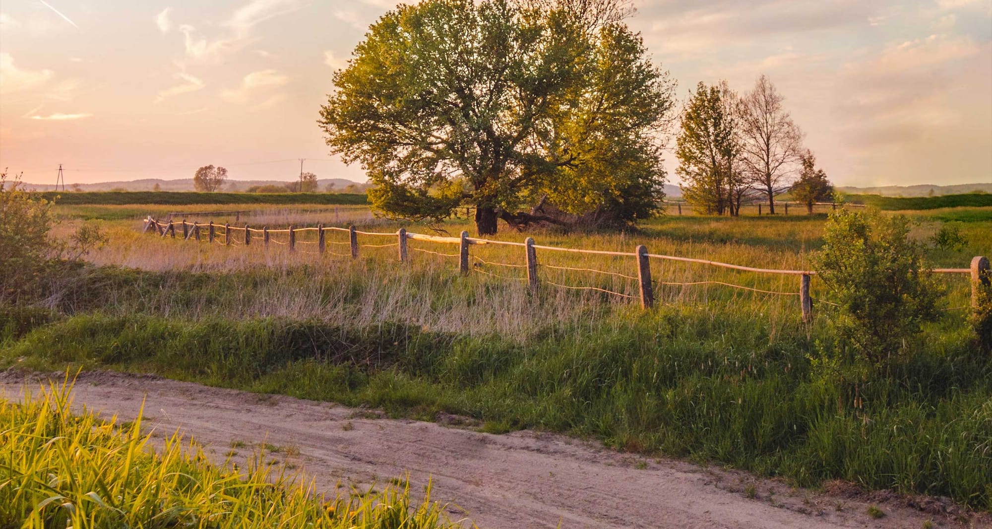 Dirt road next to a field in a rural area.