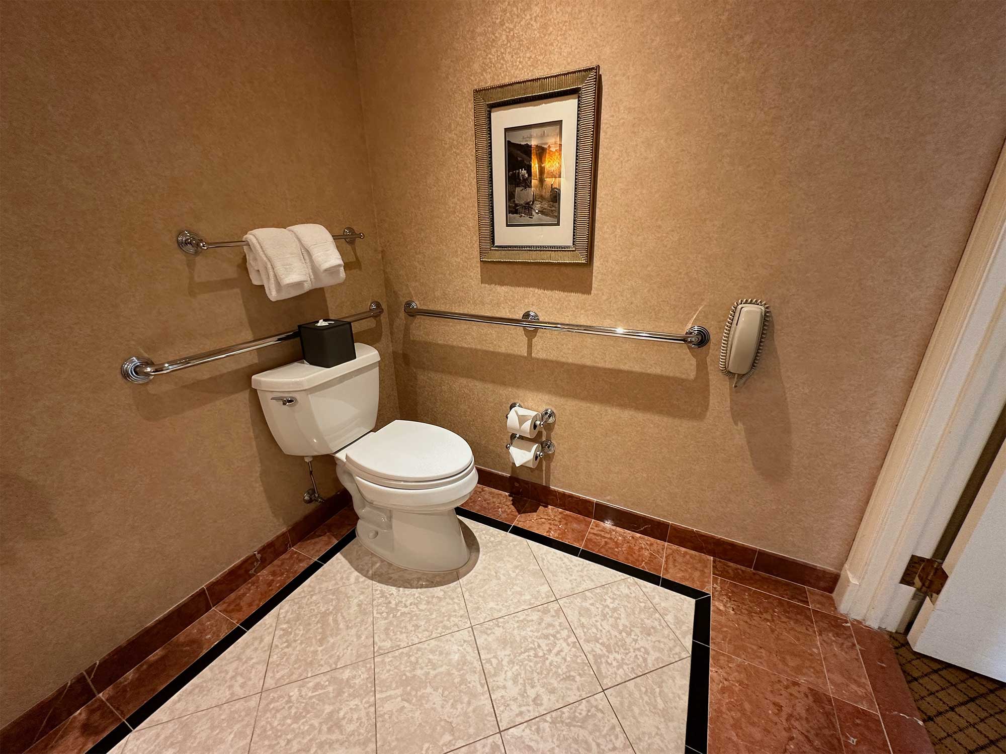 Toilet with grab bars.