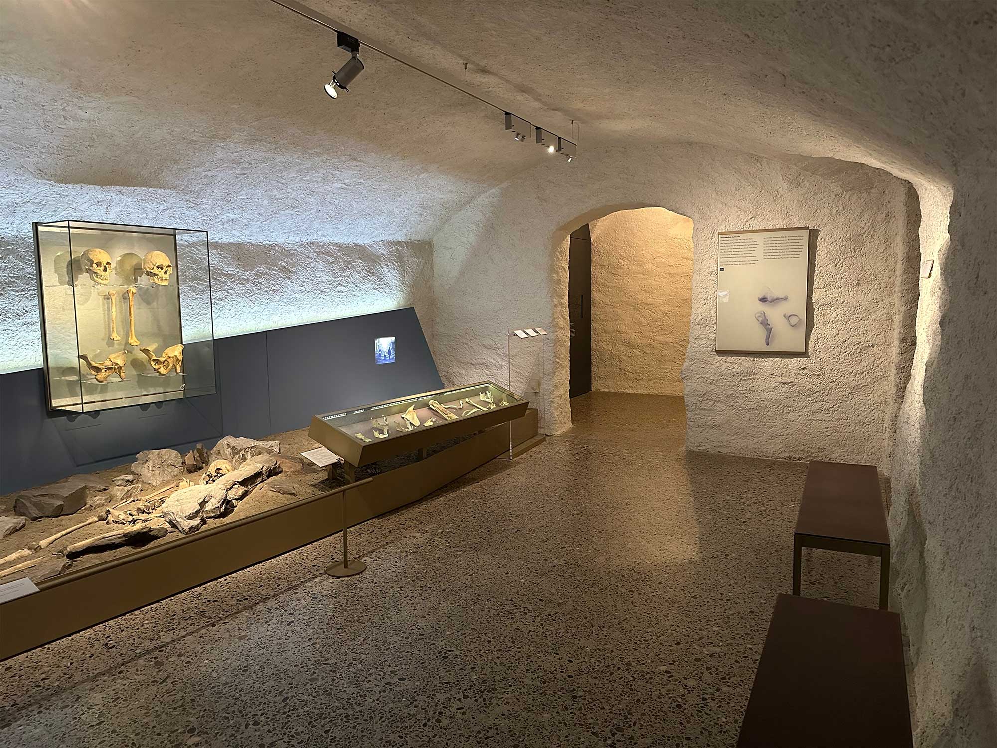 Excavation display.