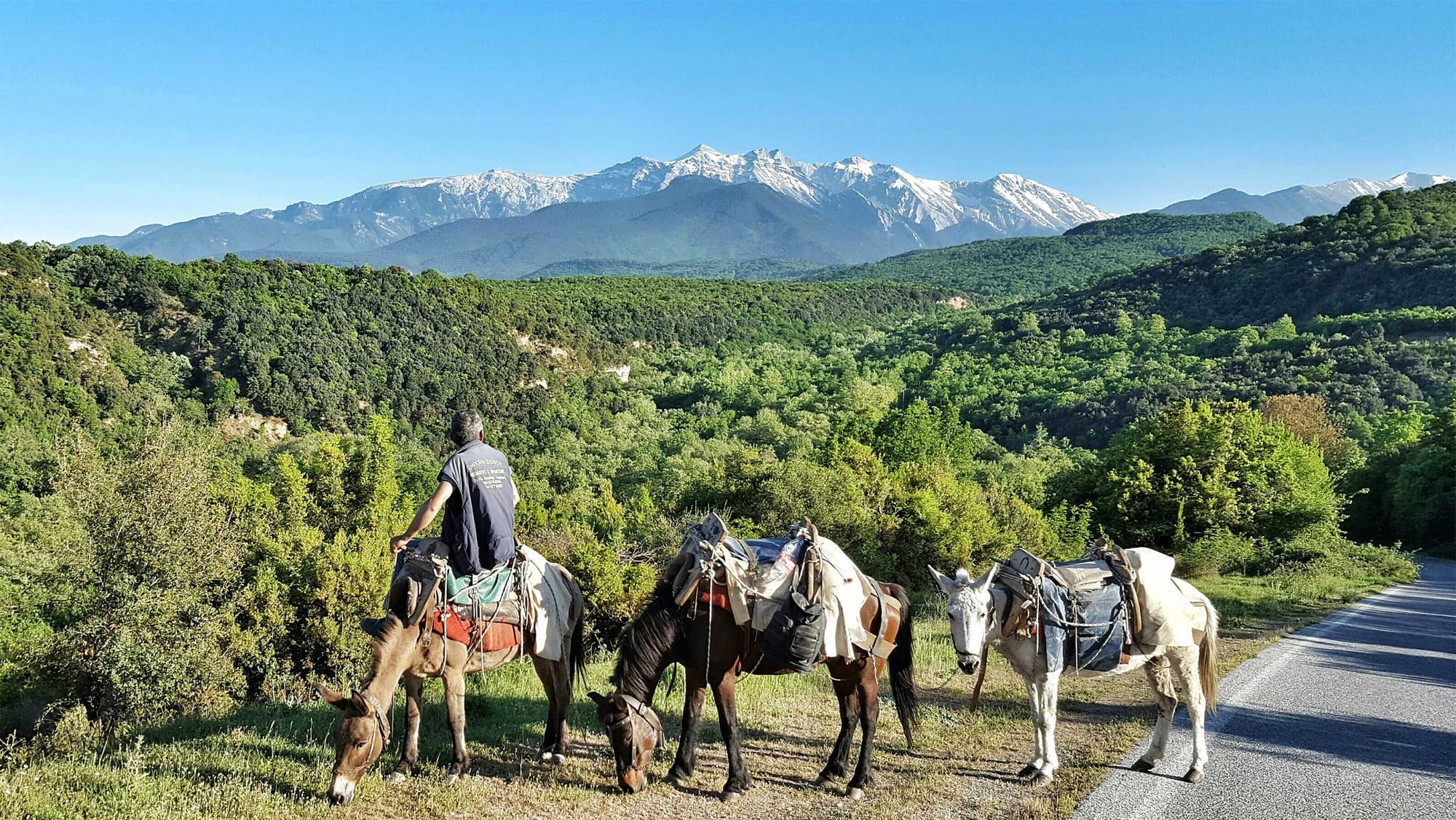 Mount Olympus seen in the distance, man on horseback in foreground.